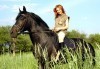 Обичате ли конете? 60 минутна езда с водач или урок по езда (тръст/галоп) с инструктор от Конна база Драгалевци! - thumb 3
