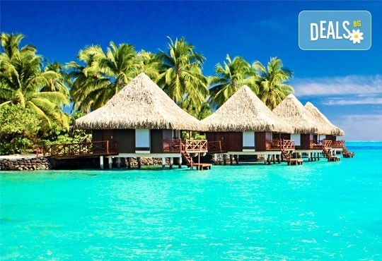 Посрещнете Нова година на Малдивите! 9 нощувки на база пълен пансион и празнична вечеря в Ranveli Village 4*, самолетен билет! - Снимка 3