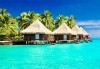 Посрещнете Нова година на Малдивите! 9 нощувки на база пълен пансион и празнична вечеря в Ranveli Village 4*, самолетен билет! - thumb1 3