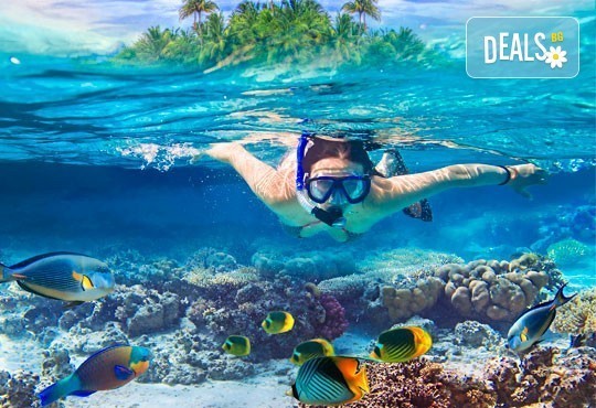 Посрещнете Нова година на Малдивите! 9 нощувки на база пълен пансион и празнична вечеря в Ranveli Village 4*, самолетен билет! - Снимка 5