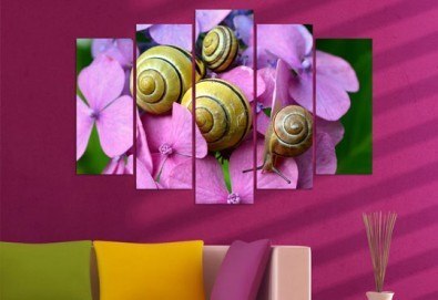 Идеалният подарък! Стандартен или голям размер декоративен панел от VividHome.eu с включена доставка за цялата страна!