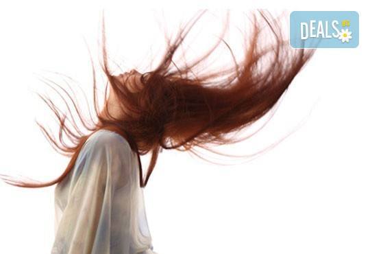 Подстригване и възстановяваща терапия Free Limix с плацента и костен мозък в Студио ДИВА - Снимка 1