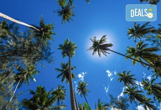 Екзотична почивка през март на Сейшелските острови: 7 нощувки и закуски в Savoy Resort and Spa 5* и самолетни билети - Снимка 6
