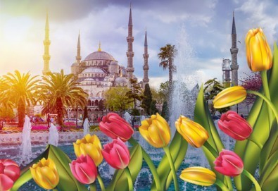 Екскурзия за Фестивала на лалето в Истанбул, дати по избор през април! 2 нощувки със закуски, транспорт и водач, със Запрянов Травел