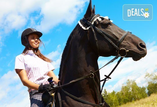 За любителите на конете! 30-минутна конна езда с водач или урок по конна езда с инструктор от конна база Драгалевци! - Снимка 3
