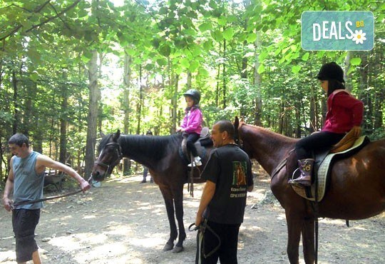 За любителите на конете! 30-минутна конна езда с водач или урок по конна езда с инструктор от конна база Драгалевци! - Снимка 4