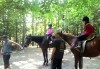 За любителите на конете! 30-минутна конна езда с водач или урок по конна езда с инструктор от конна база Драгалевци! - thumb 4