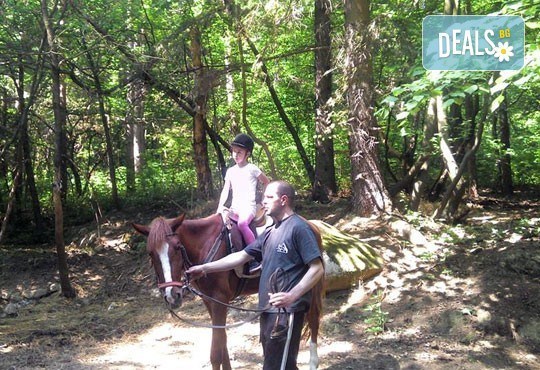 За любителите на конете! 30-минутна конна езда с водач или урок по конна езда с инструктор от конна база Драгалевци! - Снимка 5