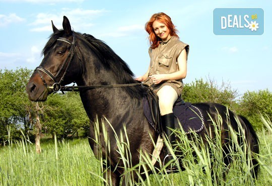 За любителите на конете! 30-минутна конна езда с водач или урок по конна езда с инструктор от конна база Драгалевци! - Снимка 1