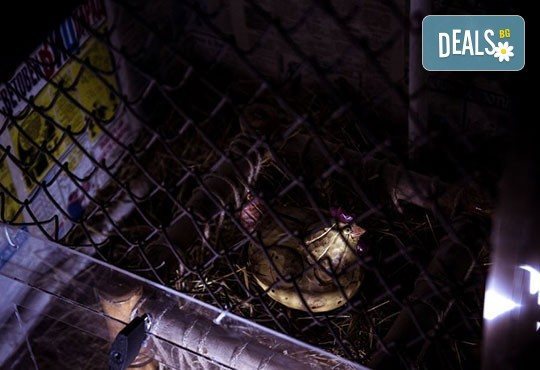 Подарете на детето си незабравимо приключение! Детски рожден ден за до 20 деца с Еscape игра на живо от Emergency escape! - Снимка 13
