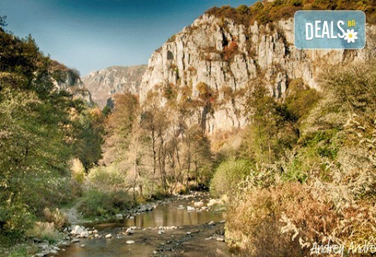 Отпразнувайте Свети Валентин с любимия човек в комплекс Горочевци 3*, с. Горочевци! 2 нощувки със закуски и романтична вечеря! - Снимка 13