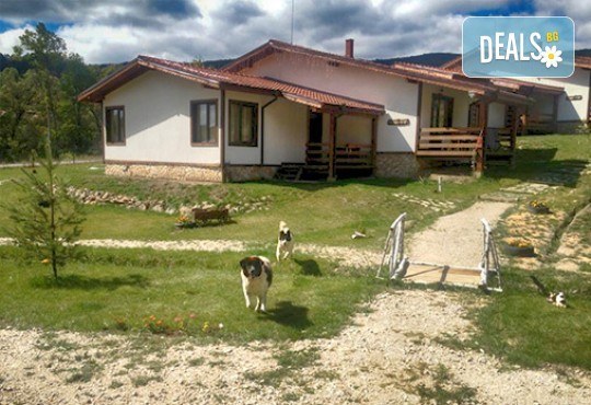 Отпразнувайте Свети Валентин с любимия човек в комплекс Горочевци 3*, с. Горочевци! 2 нощувки със закуски и романтична вечеря! - Снимка 11