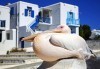 Почивка на о. Миконос, Гърция през май - слънце, море и плаж! 4 нощувки със закуски в хотел 3*, транспорт и водач! - thumb 2
