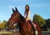 45-минутен урок по конна езда за начинаещи или за напреднали на манеж от Езда София в конна база Хан Аспарух! - thumb 4