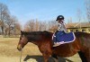 45-минутен урок по конна езда за начинаещи или за напреднали на манеж от Езда София в конна база Хан Аспарух! - thumb 7