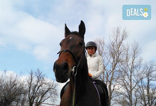 45-минутен урок по конна езда за начинаещи или за напреднали на манеж от Езда София в конна база Хан Аспарух! - Снимка 9