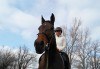 45-минутен урок по конна езда за начинаещи или за напреднали на манеж от Езда София в конна база Хан Аспарух! - thumb 9