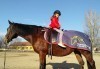45-минутен урок по конна езда за начинаещи или за напреднали на манеж от Езда София в конна база Хан Аспарух! - thumb 10