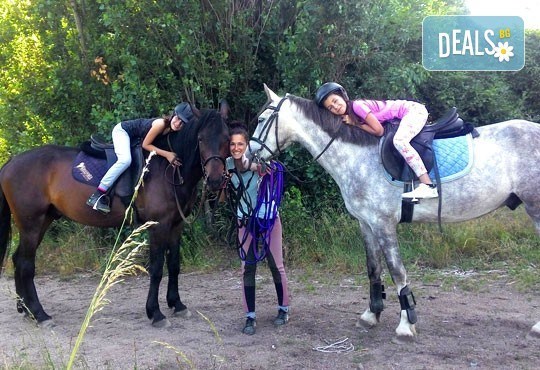 45-минутен урок по конна езда за начинаещи или за напреднали на манеж от Езда София в конна база Хан Аспарух! - Снимка 1