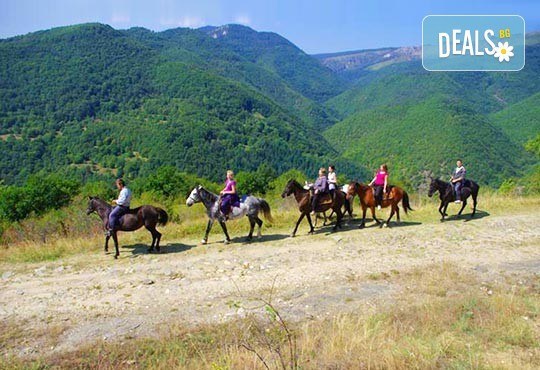 ДВА часа коннен преход - конна езда/ разходка с кон за начинаещи с инструктор в полите на Родопите от Конна база Стела - Снимка 5