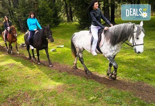 ДВА часа коннен преход - конна езда/ разходка с кон за начинаещи с инструктор в полите на Родопите от Конна база Стела - Снимка 6