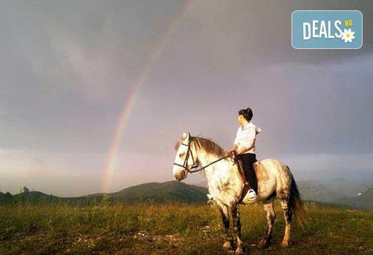 ДВА часа коннен преход - конна езда/ разходка с кон за начинаещи с инструктор в полите на Родопите от Конна база Стела - Снимка 7