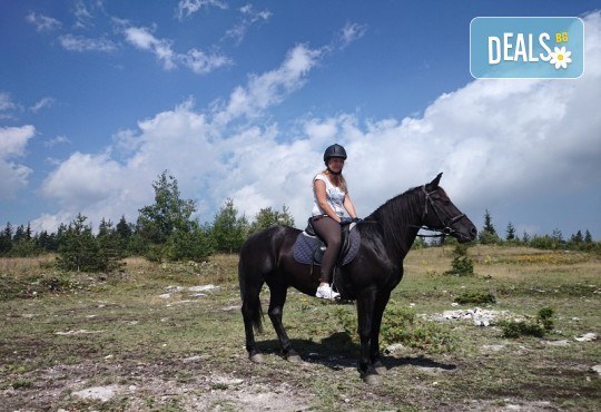 ДВА часа коннен преход - конна езда/ разходка с кон за начинаещи с инструктор в полите на Родопите от Конна база Стела - Снимка 1