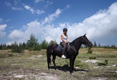 ДВА часа коннен преход - конна езда/ разходка с кон за начинаещи с инструктор в полите на Родопите от Конна база Стела