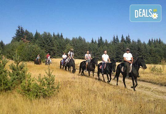 ДВА часа коннен преход - конна езда/ разходка с кон за начинаещи с инструктор в полите на Родопите от Конна база Стела - Снимка 4