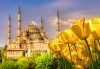 Екскурзия за Фестивала на лалето в Истанбул през април! 2 нощувки със закуски, транспорт, посещение на парка Емирган, Виаленд и Мол Виаленд! - thumb 1