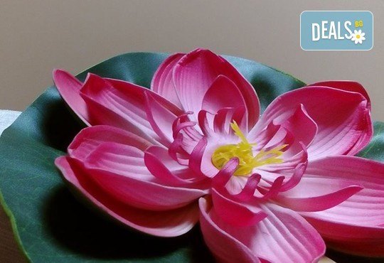 За добър силует! Пилинг, интензивен антицелулитен масаж плюс body repping за една или за две жени едновременно в My Spa! - Снимка 7