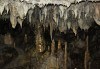 Еднодневна разходка до пещера Снежанка, Плиоценски парк Дорково, крепост Цепина: транспорт и екскурзовод от Елея Тур! - thumb 2