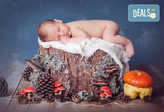 Впечатляваща приказна фотосесия на новородени и бебета, 20 обработени кадъра от Приказните снимки! - Снимка 4