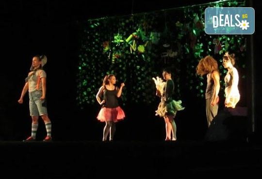 Два билета на цената на един за Любопитното слонче на 11.04. от 19ч, камерна сцена, театър Сълза и Смях - Снимка 4