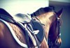 Усетете свободата! 30-минутно обучение с инструктор по конна езда от Конна база Ласкар, до с.Чепинци! - thumb 1