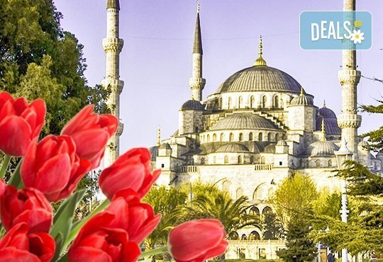 Великденски празници в Истанбул за Фестивала на лалето! 2 нощувки със закуски в хотел 3*, транспорт и посещение на МОЛ Оливиум! - Снимка 1