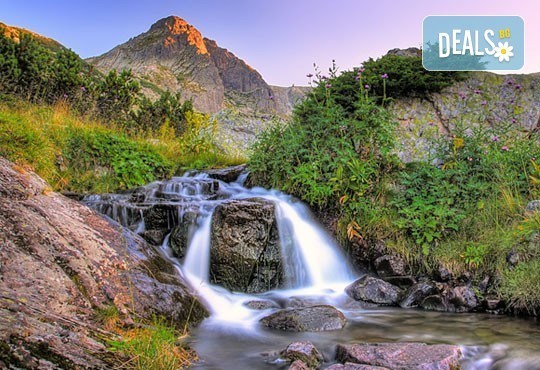 Еднодневна екскурзия на 05.06.2016 до Цари Мали град, Ресиловски манастир, Парк Рила – Дупница, транспорт и екскурзовод от Глобус Тур! - Снимка 3