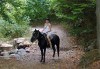 Обичате ли конете? Конна езда от Конна база Св. Иван Рилски на чист въздух във Владая - thumb 3