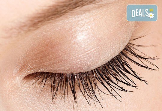 Перфектна празнична визия! Сгъстяване и удължаване на мигли косъм по косъм или поддръжка на мигли от център Мотив! - Снимка 2