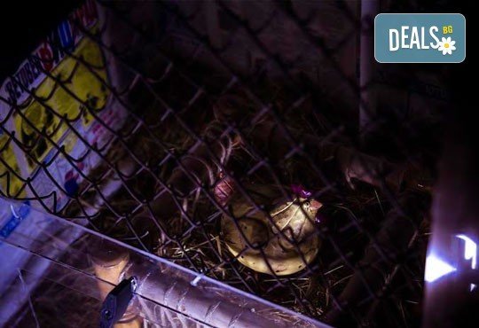 Събери отбор, резервирай стая! Бъди детектив в 60-минутното приключение от Emergency Escape с играта Пощенска станция - Снимка 8