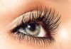Завладяващи очи! Постигнете ги с поставяне на копринени мигли по метода ''косъм по косъм'' в NSB Beauty Center! - thumb 1