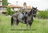 Подарете си различно преживяване с 45-минутен урок по конна езда с инструктор от конна база София – Юг, Драгалевци! - thumb 2