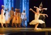 Гледайте ''Спящата красавица'' на 7-ми юли (четвъртък) в Музикален театър Стефан Македонски - thumb 1
