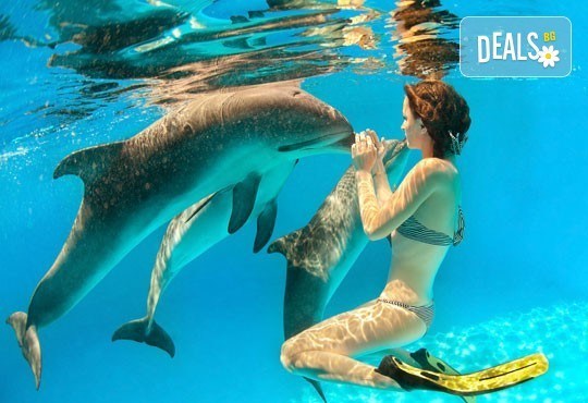 Почивка в Куба през есента! 3 нощувки със закуски в Хавана, 4 нощувки на All Inclusive във Варадеро, самолетен билет и летищни такси! - Снимка 8