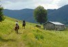 Конна езда и преход с коне в Родопите! 2 часа преход, видеозаснемане с екшън камера и безплатен басейн, от Ранчо Диви Родопи - thumb 5