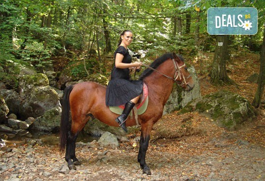 Обичате ли конете? Конна езда от Конна база Св. Иван Рилски на чист въздух във Владая - Снимка 1