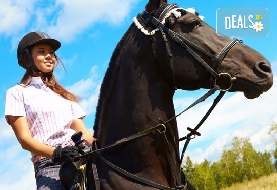 Подарете си различно преживяване с 45 минути конна езда с водач от конна база София – Юг, Драгалевци! - Снимка 3