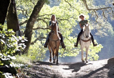 Подарете си различно преживяване с 45 минути конна езда с водач от конна база София – Юг, Драгалевци!