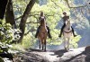 Подарете си различно преживяване с 45 минути конна езда с водач от конна база София – Юг, Драгалевци! - thumb 1