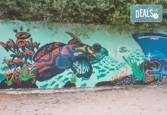 Септемврийски празници в Каварна! Нощувка със закуска в двойна стая/ апартамент в Къща за гости Наш дом! Безплатно за деца до 7 г.! - Снимка 12